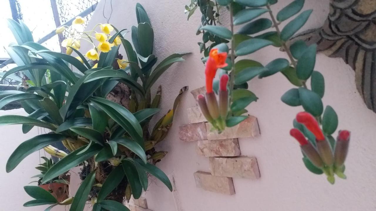 Kota'S House Homestay Hue Rom bilde